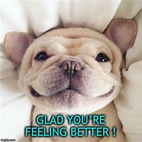 Image result for Funny Feeling Good