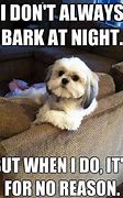 Image result for Funny Puppy Memes
