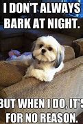 Image result for Funny Picture of Small Dog Barking