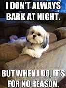 Image result for Puppy Memes