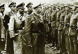 Image result for Waffen-Ss