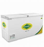 Image result for Long Commercial Deep Freezer