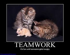 Image result for Animal Teamwork Quotes