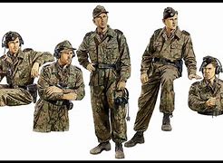 Image result for Waffen-SS Panzer Crew