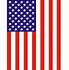 Image result for Black and White Hanging American Flag