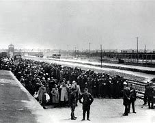 Image result for Auschwitz 2