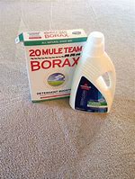 Image result for Rug Cleaner for Pet Stains