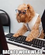 Image result for Office Work Funny Memes Dog