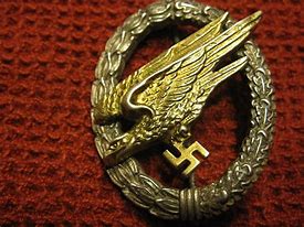 Image result for Fallschirmjager Badge