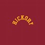 Image result for Indiana Pacers Hickory Logo
