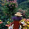 Image result for Flower Gardening