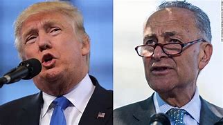 Image result for Trump and Schumer Image