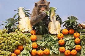 Image result for Monkey Buffet Festival Samachar