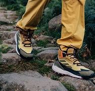 Image result for Terrex Free Hiker GTX Hiking Shoes