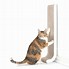 Image result for Cat Wall Scratcher Long