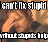Image result for You Can't Fix Stupid Pics