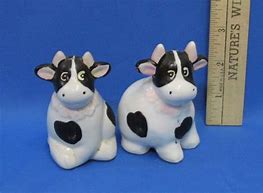 Image result for Cow Salt and Pepper Shakers