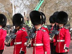 Image result for City Guard