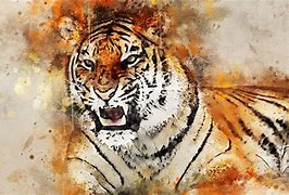 Image result for Really Cool Tiger Art