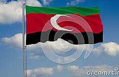 Image result for Darfur Flag