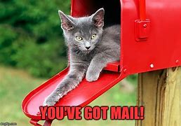 Image result for In the Mail Meme