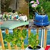Image result for Recycled Planters