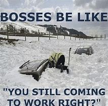 Image result for Snow Humor in the South