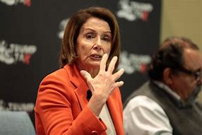Image result for Pelosi Outfits