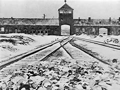 Image result for holocaust ww2