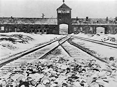 Image result for Auscwitz Prisoner