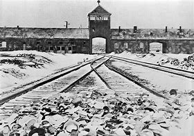 Image result for Auschwitz 1