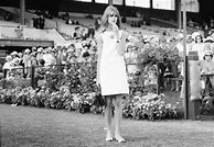 Image result for Jean Shrimpton Wore a Mini Shift Dress to the Melbourne Cup