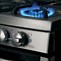 Image result for Freestanding Double Oven Gas Range