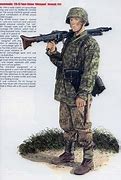 Image result for Waffen SS Combat Uniform