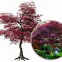 Image result for Fall Tree Small