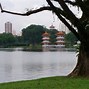 Image result for Japanese Garden Singapore