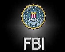 Image result for FBI Most Wanted Séries