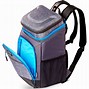 Image result for igloo backpack cooler with wheels