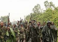 Image result for Congo Rebels