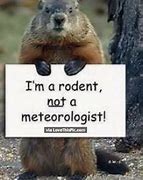 Image result for Funny Happy Groundhog Day