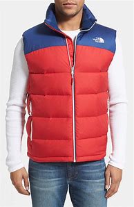 Image result for North Face Vest with Sleeves