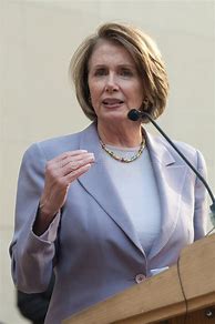 Image result for Nancy Pelosi Lapel Pin
