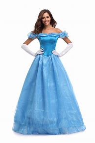 Image result for Adult Fancy Dress Costumes