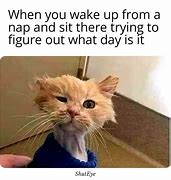 Image result for Wake Me Up Funny