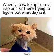 Image result for Just Wake Up