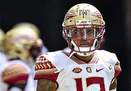 Image result for Florida State College Football