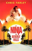 Image result for Ninja From Beverly Hills