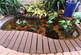 Image result for DIY Goldfish Pond