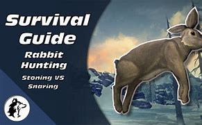 Image result for Rabbit Snare the Long Dark