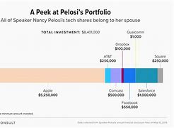 Image result for Nancy Pelosi Stock Portfolio